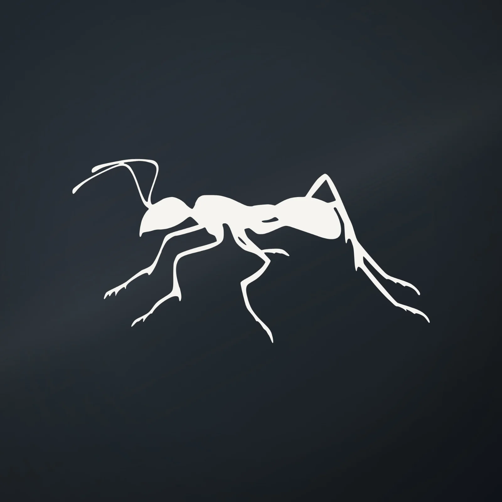 Ranger Pro Ant Decal