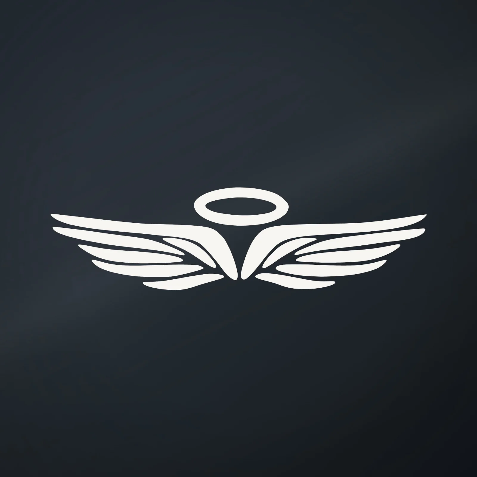 Ranger Pro Halo and Wings Decal